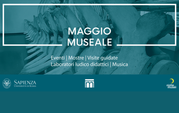 Maggio museale | 18 maggio 2024