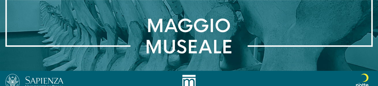 Maggio museale | 18 maggio 2024
